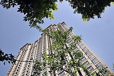 [p]老总访谈