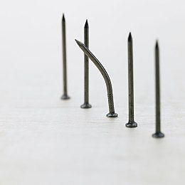 [p]哪些植物吸甲醛